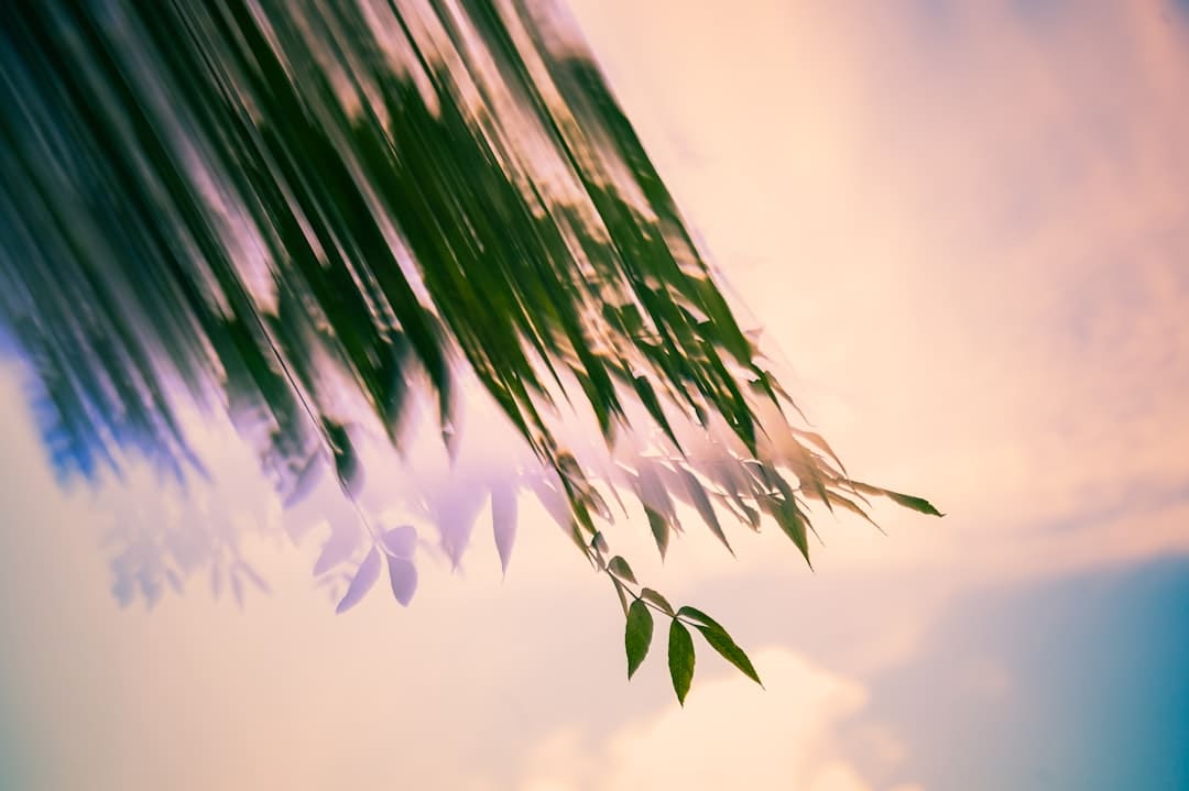 CS传奇选手somebody被曝组织打假赛，许昊文表示明日将作出回应 反转还是坦白一切？